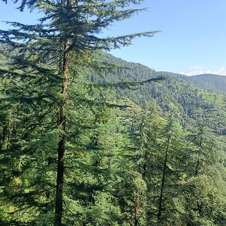Peace Holiday Homestay Chail Exteriör bild