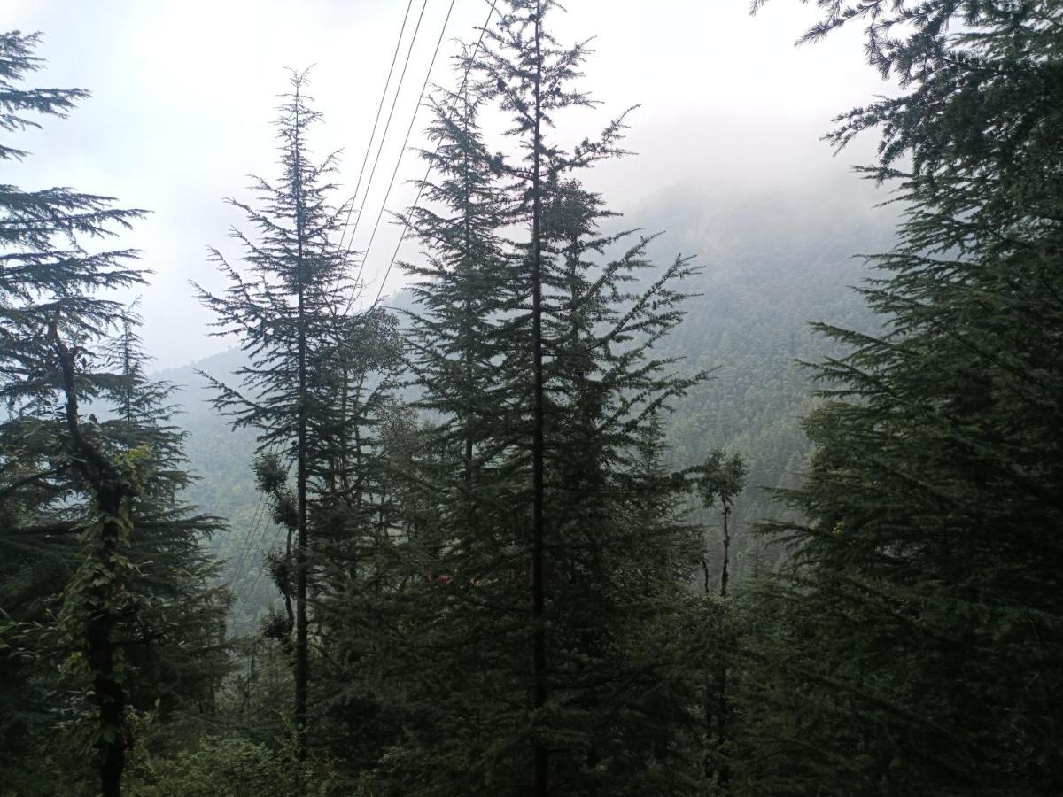 Peace Holiday Homestay Chail Exteriör bild