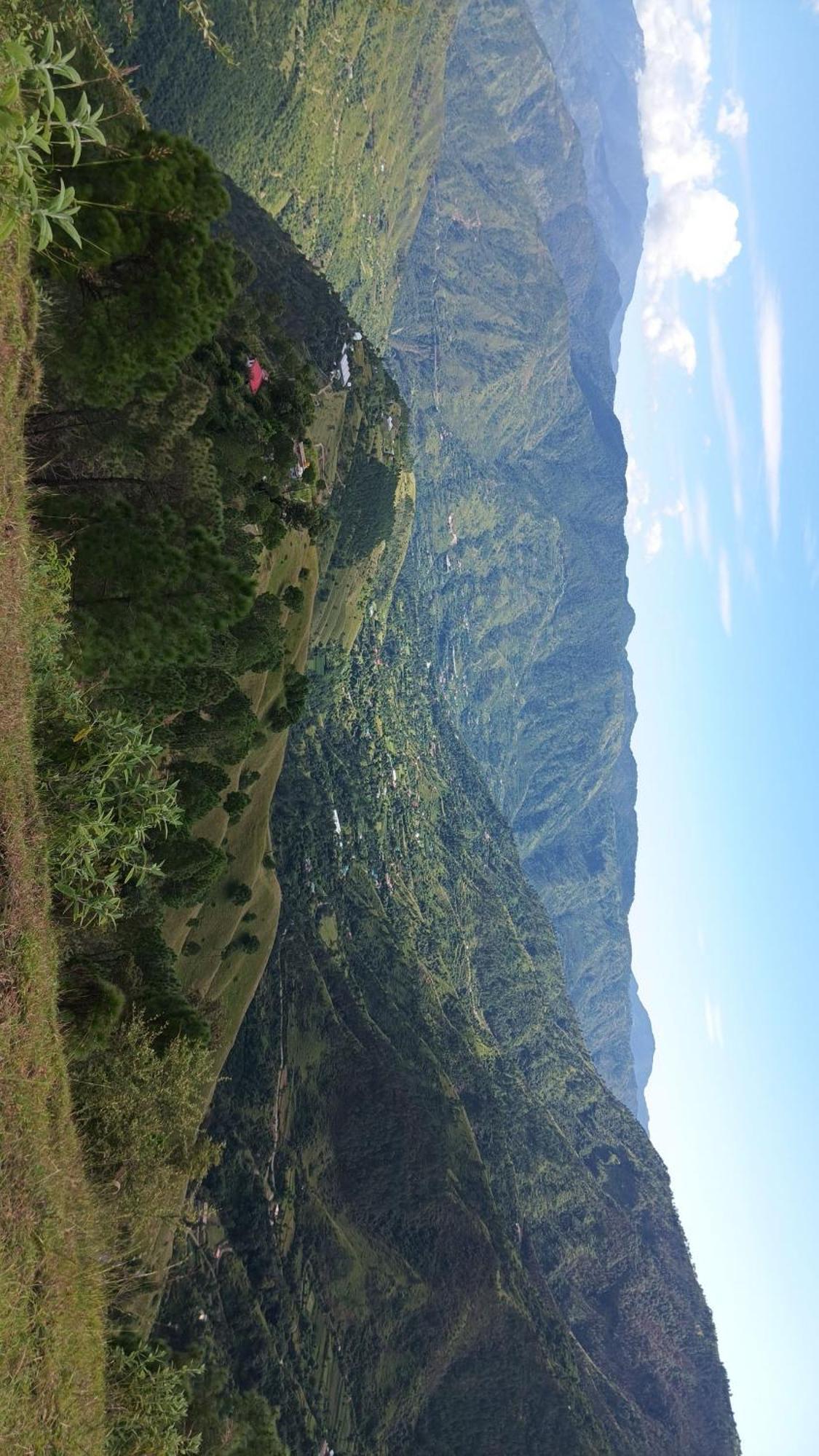Peace Holiday Homestay Chail Exteriör bild
