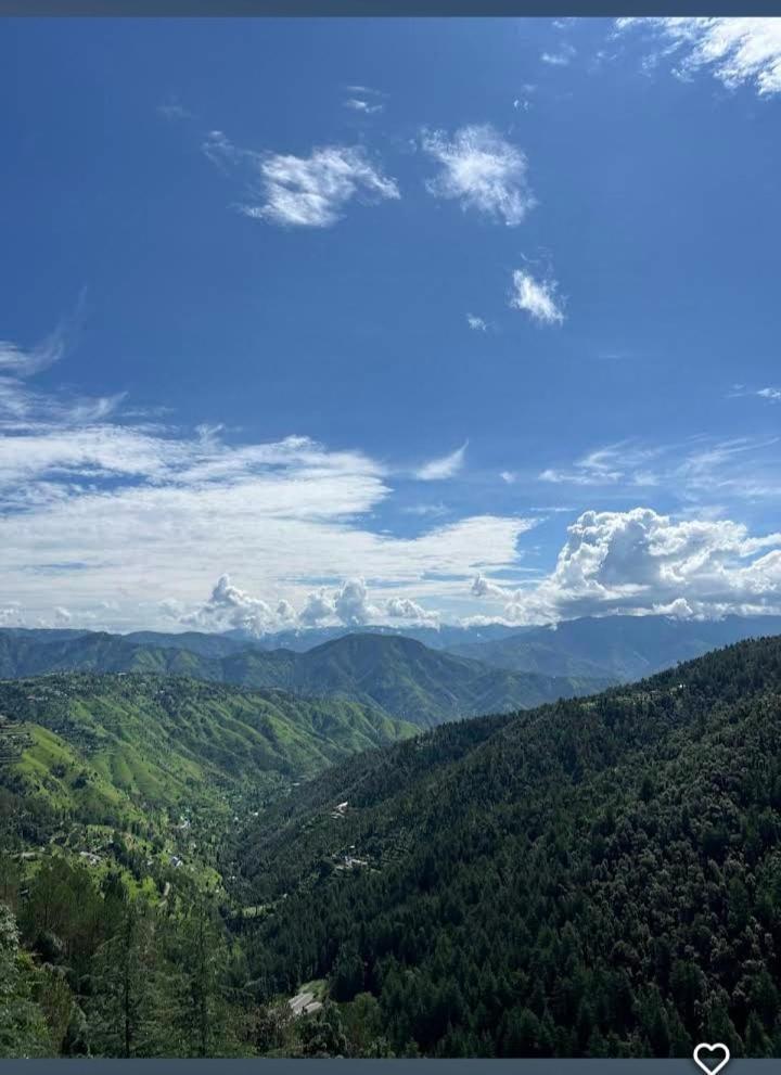 Peace Holiday Homestay Chail Exteriör bild